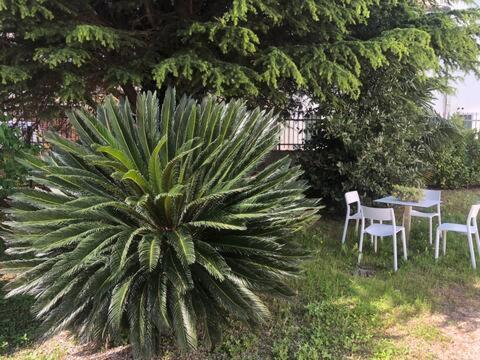 Vila Dimora Scaldaferro Mira Exteriér fotografie
